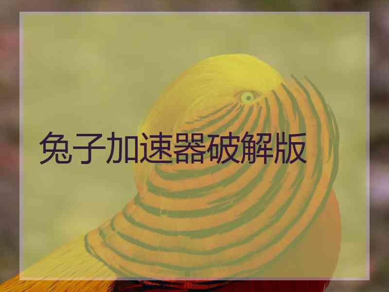 兔子加速器破解版