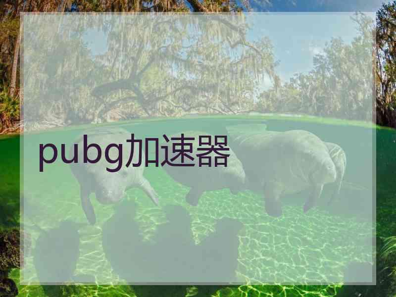 pubg加速器