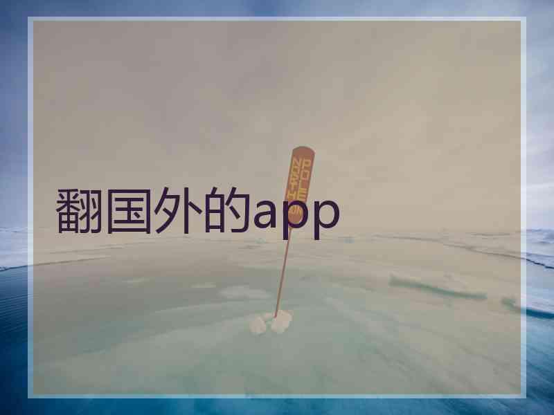 翻国外的app