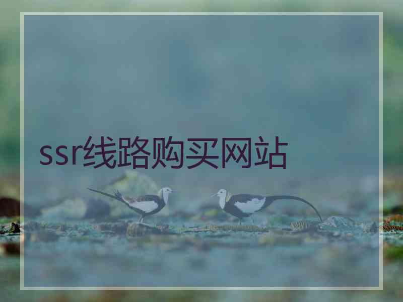 ssr线路购买网站