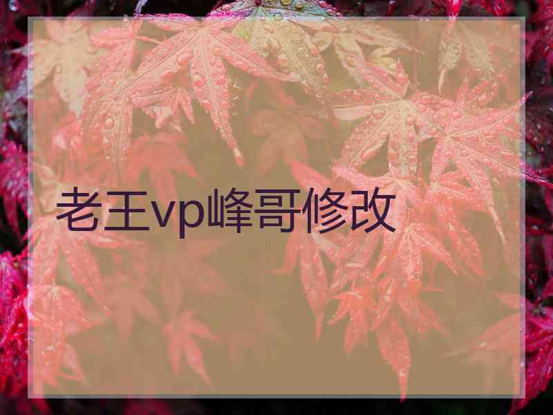 老王vp峰哥修改