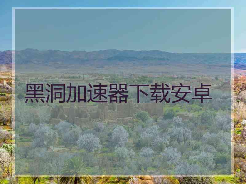 黑洞加速器下载安卓