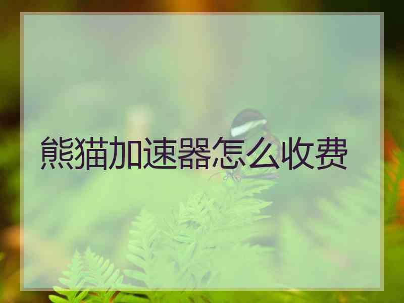 熊猫加速器怎么收费