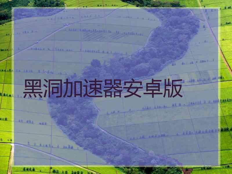 黑洞加速器安卓版