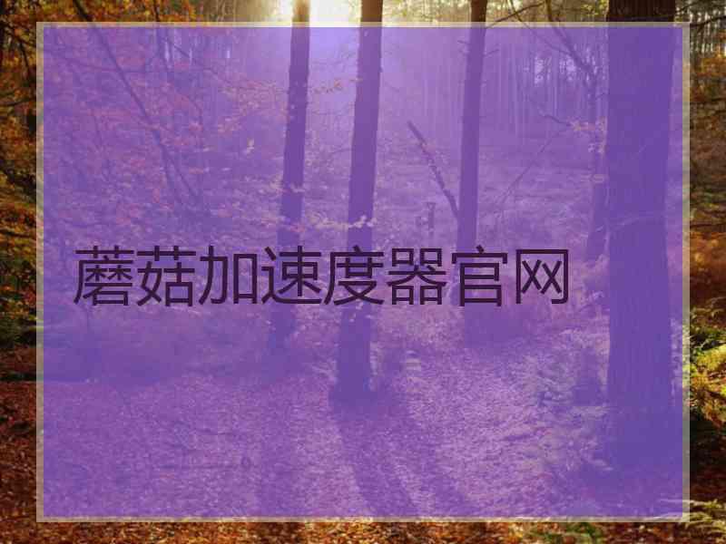 蘑菇加速度器官网