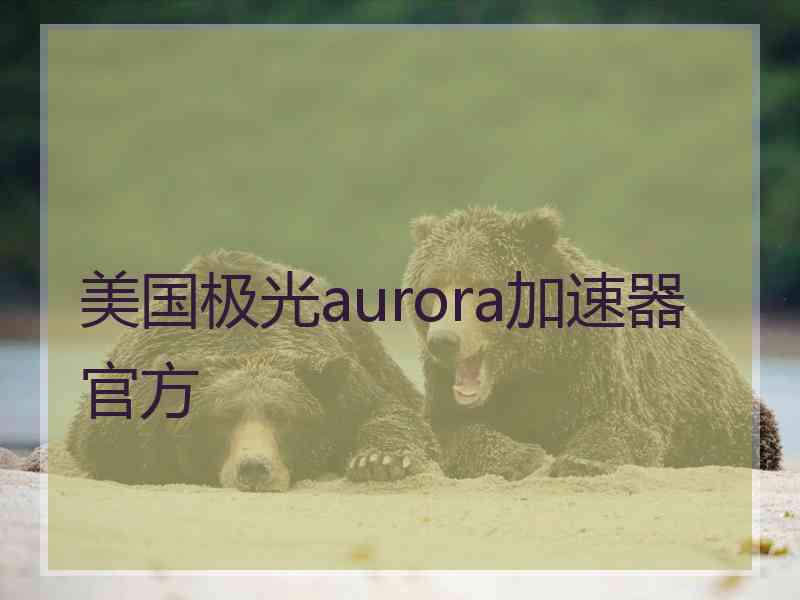 美国极光aurora加速器官方