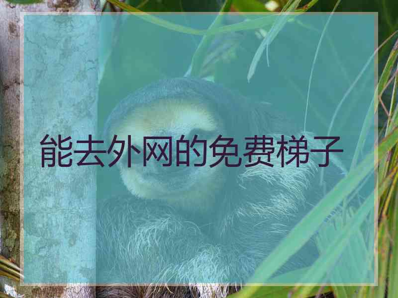 能去外网的免费梯子