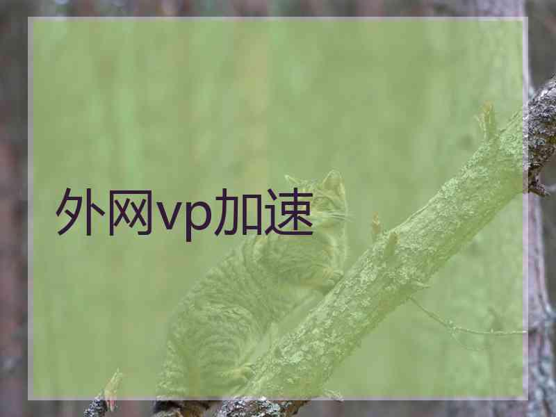 外网vp加速