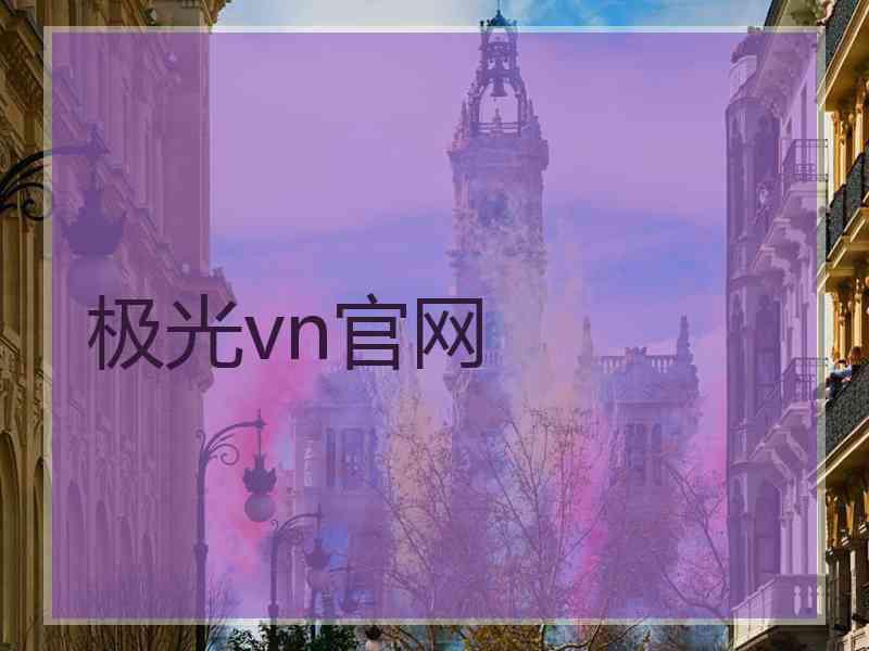 极光vn官网