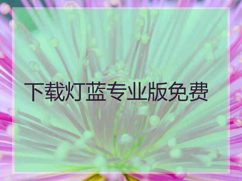 下载灯蓝专业版免费