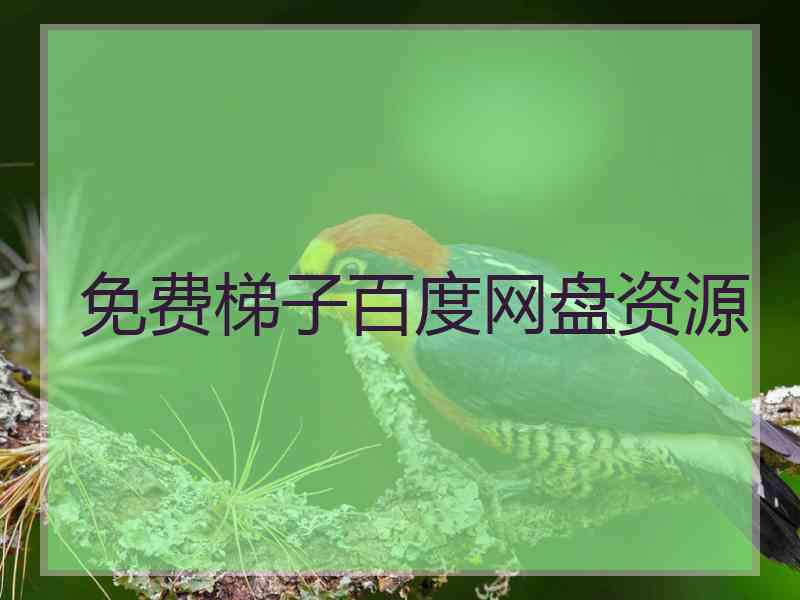 免费梯子百度网盘资源