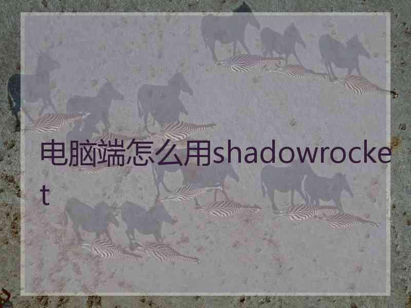 电脑端怎么用shadowrocket