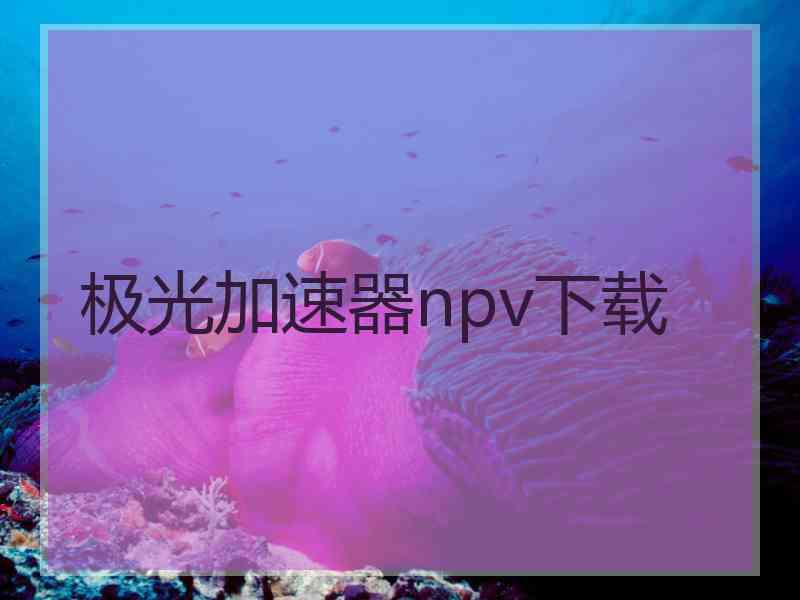 极光加速器npv下载