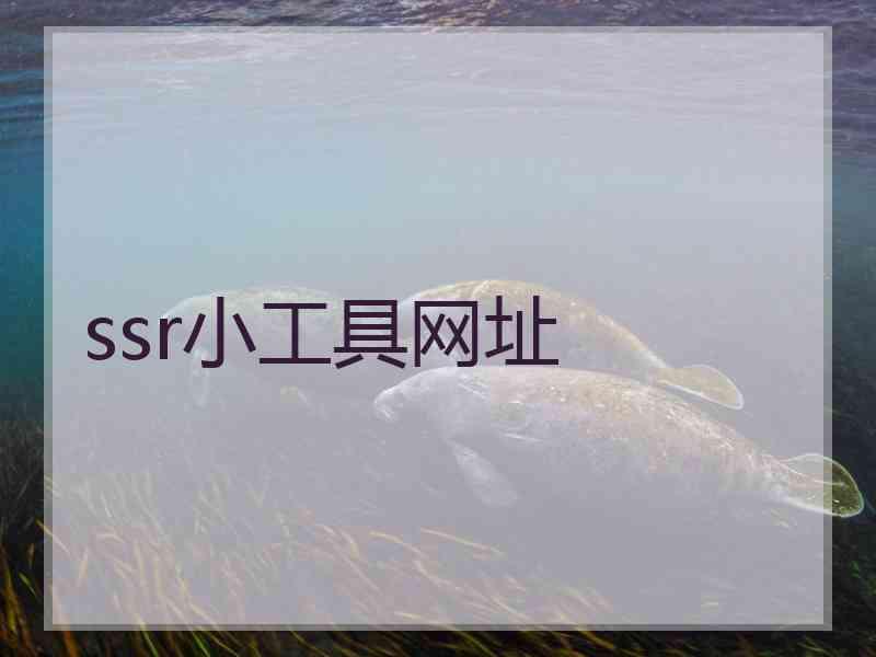 ssr小工具网址