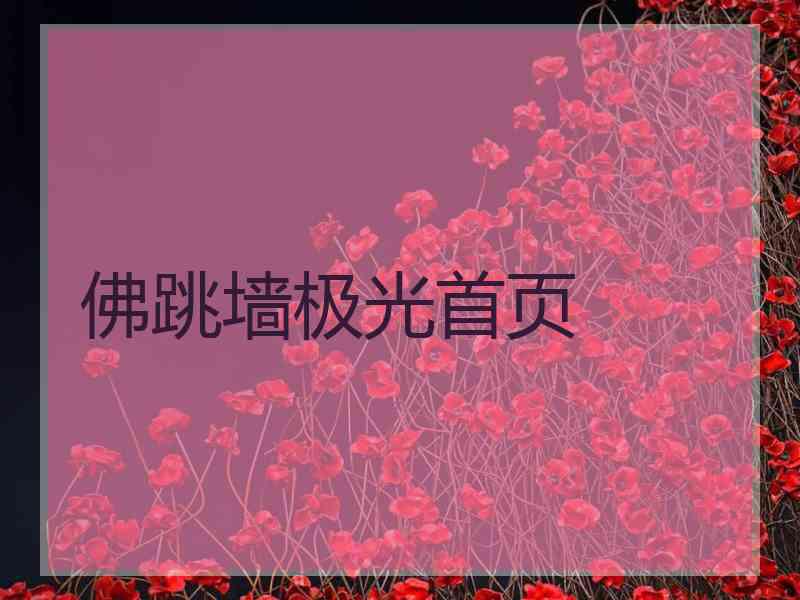 佛跳墙极光首页