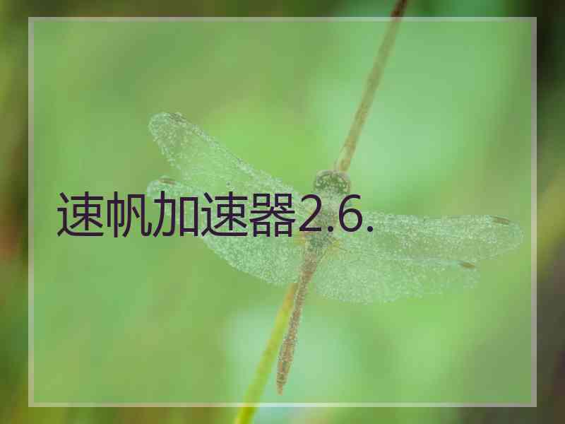 速帆加速器2.6.