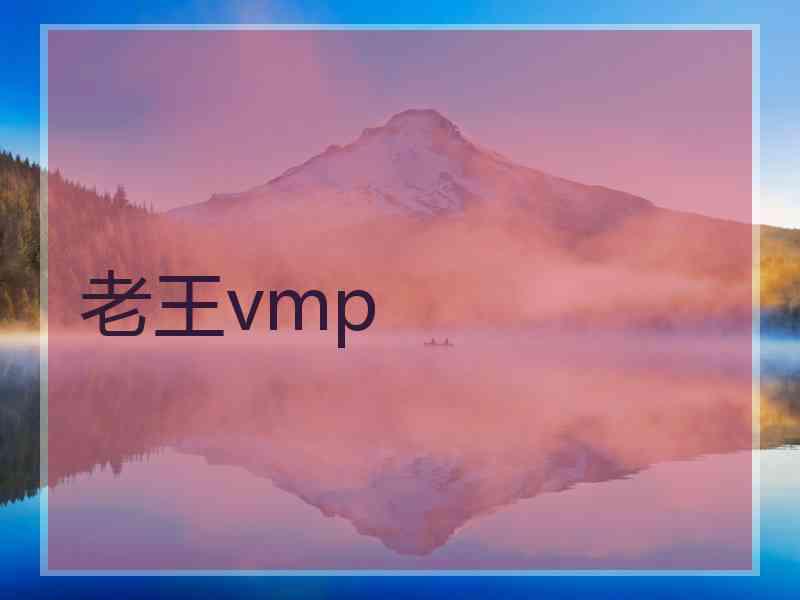 老王vmp
