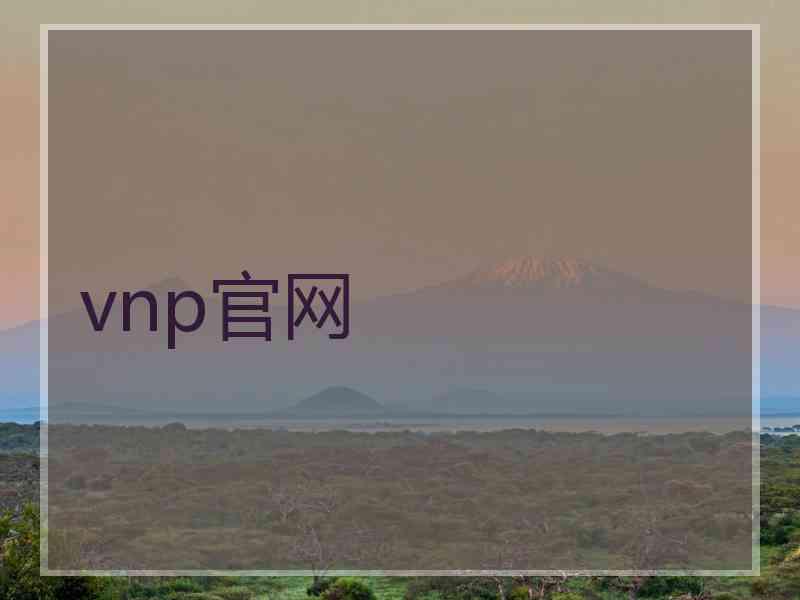 vnp官网
