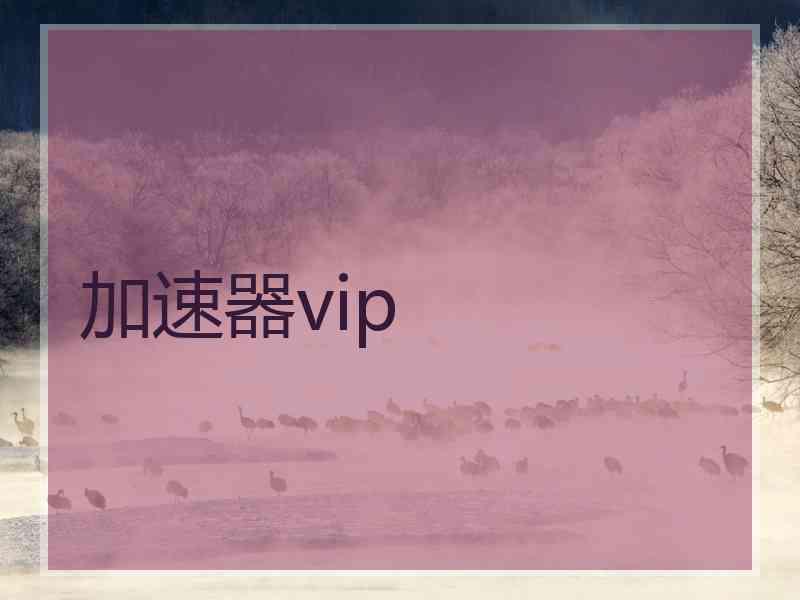 加速器vip
