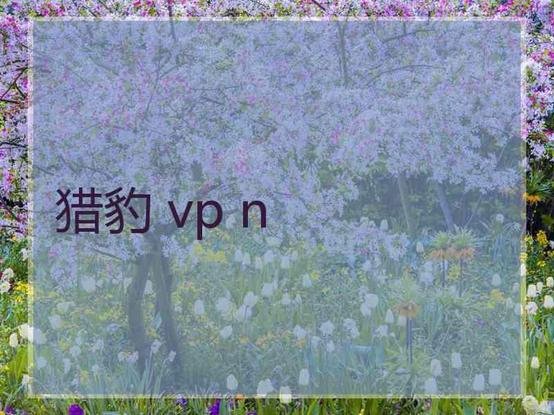 猎豹 vp n