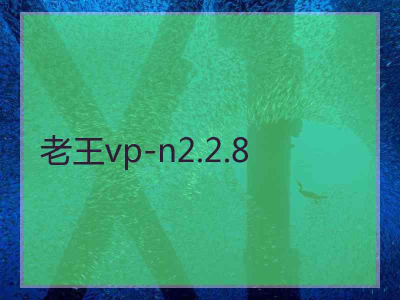 老王vp-n2.2.8