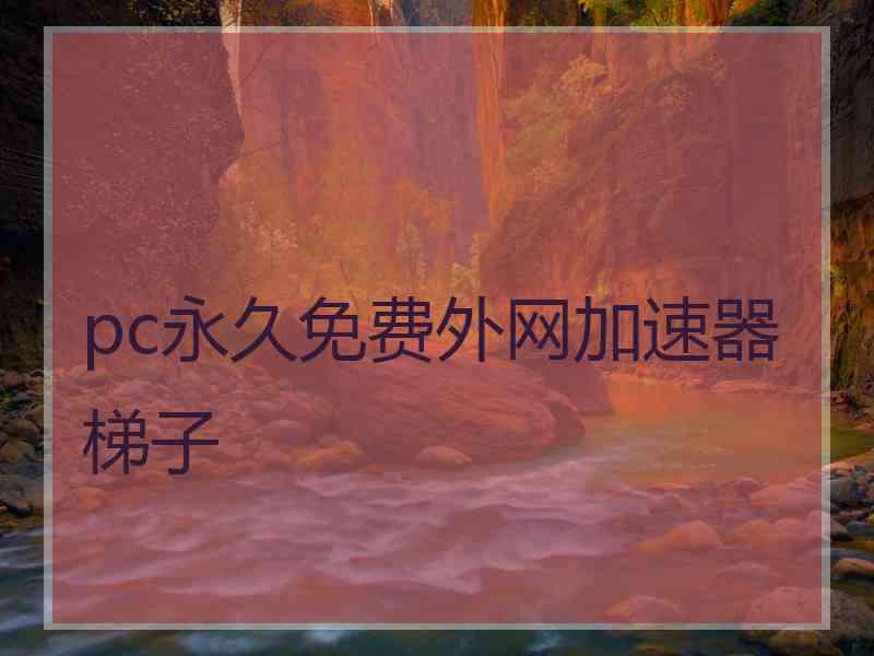 pc永久免费外网加速器梯子