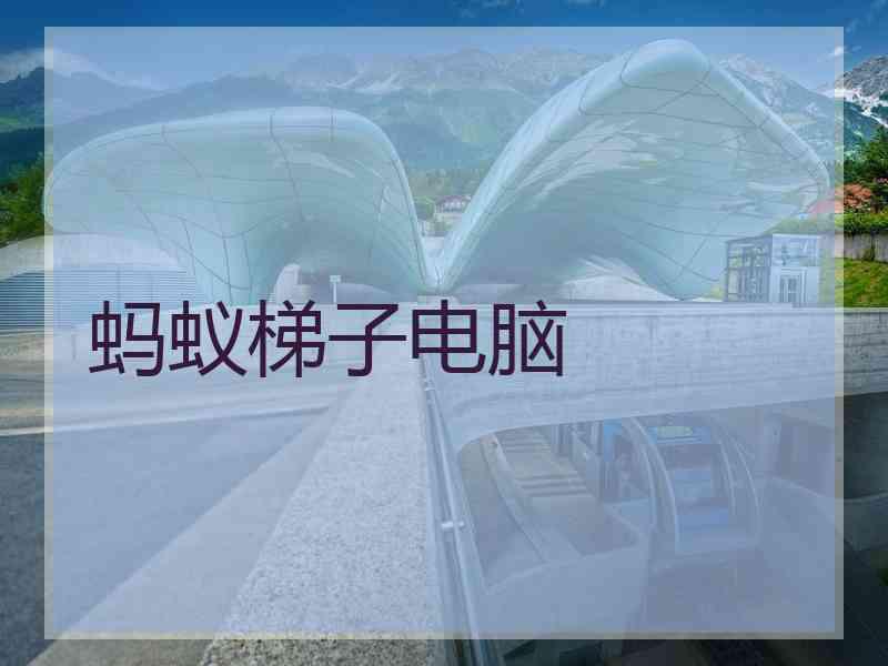 蚂蚁梯子电脑