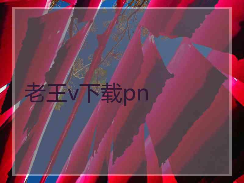 老王v下载pn