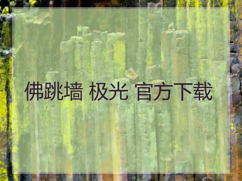 佛跳墙 极光 官方下载