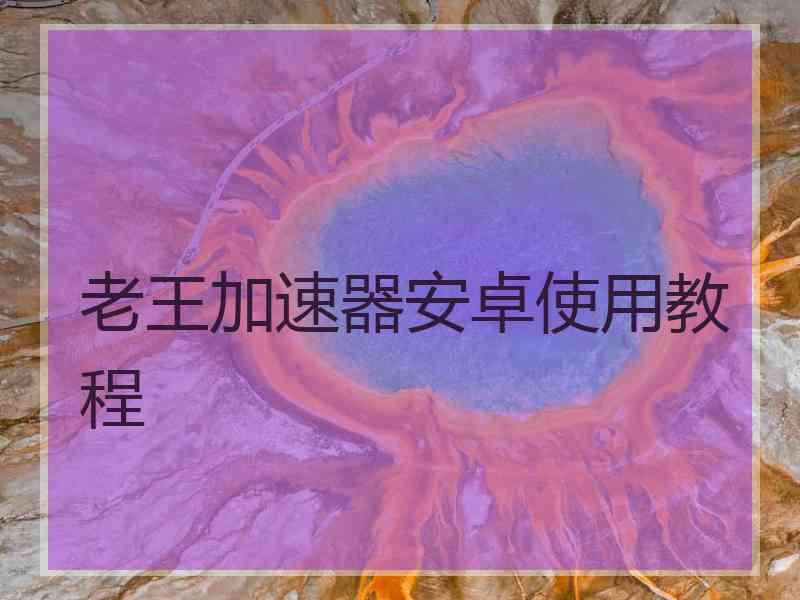 老王加速器安卓使用教程