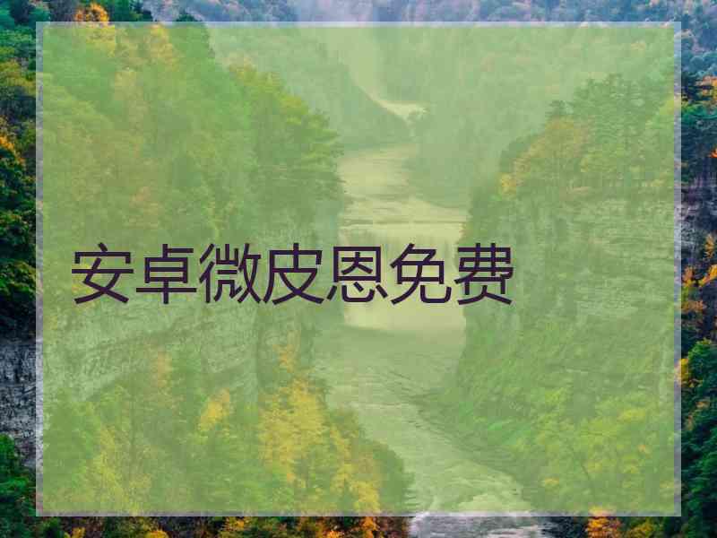安卓微皮恩免费