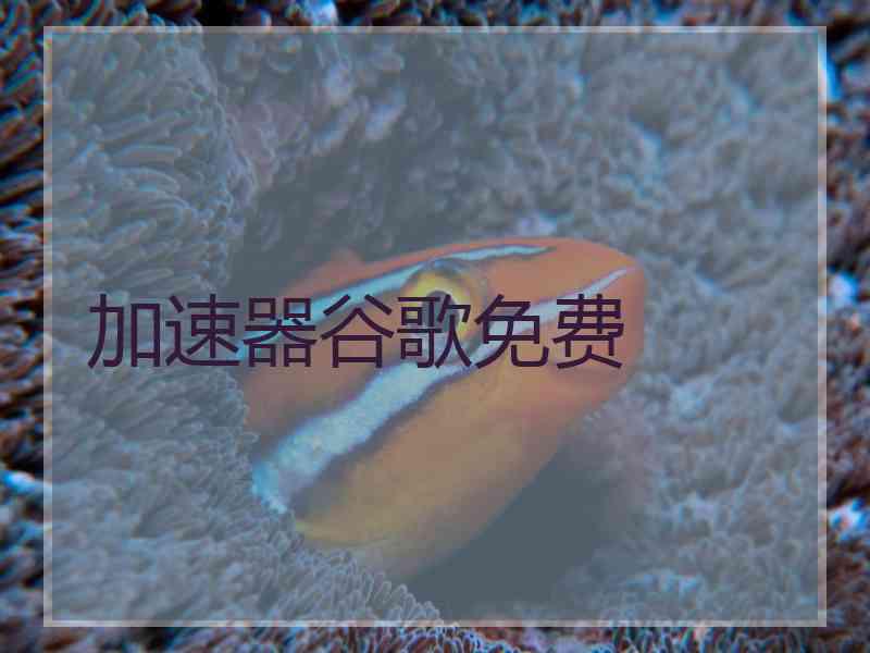 加速器谷歌免费