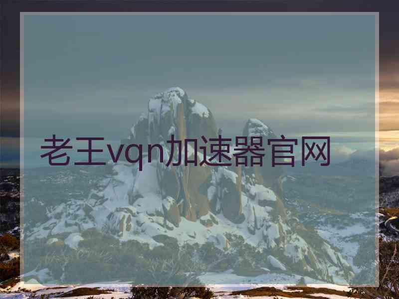 老王vqn加速器官网