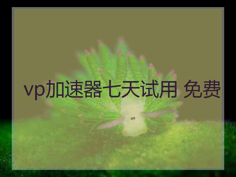vp加速器七天试用 免费