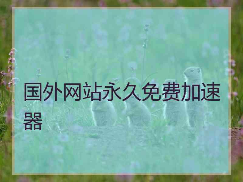 国外网站永久免费加速器