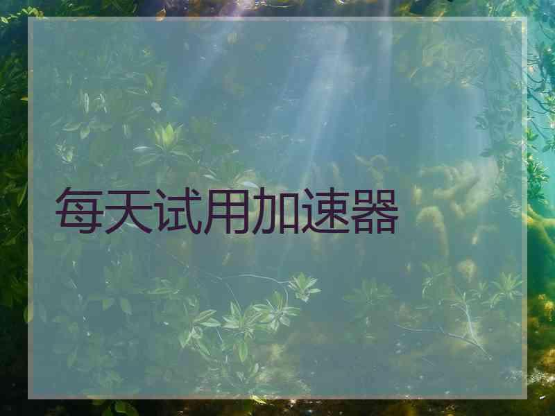 每天试用加速器