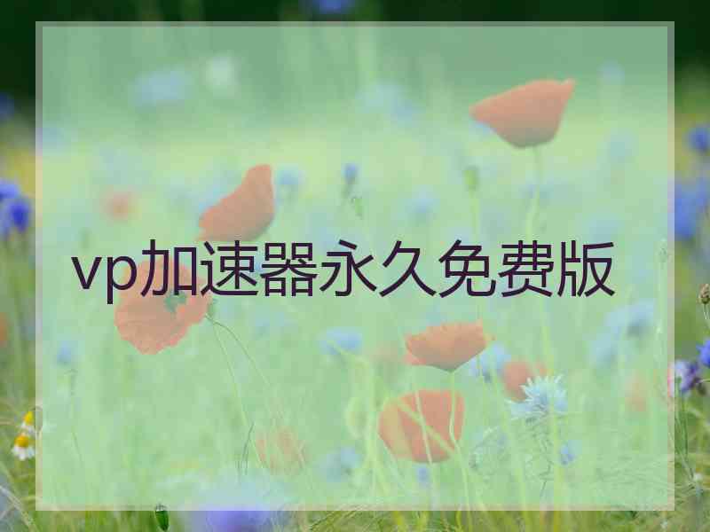 vp加速器永久免费版