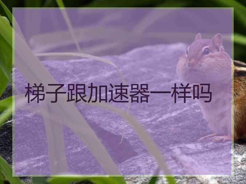 梯子跟加速器一样吗