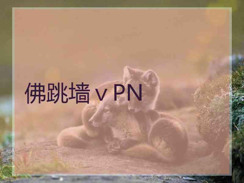 佛跳墙ⅴPN