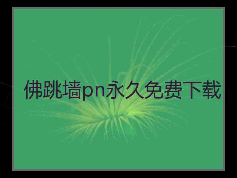 佛跳墙pn永久免费下载