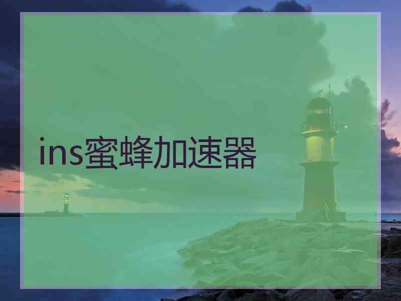 ins蜜蜂加速器