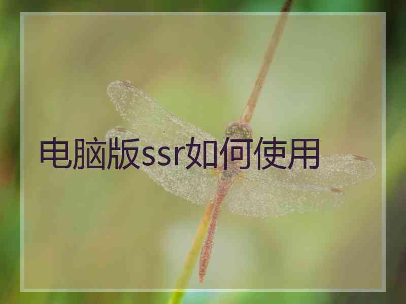 电脑版ssr如何使用