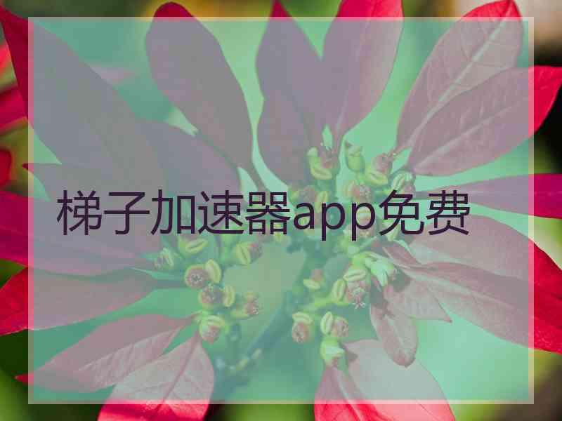 梯子加速器app免费
