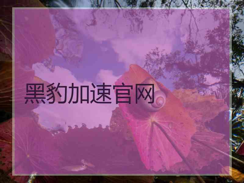 黑豹加速官网