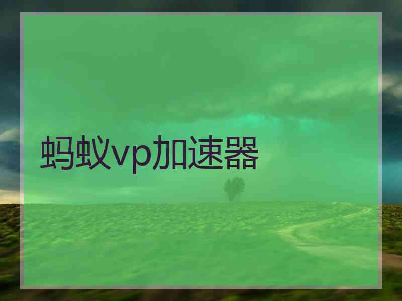 蚂蚁vp加速器