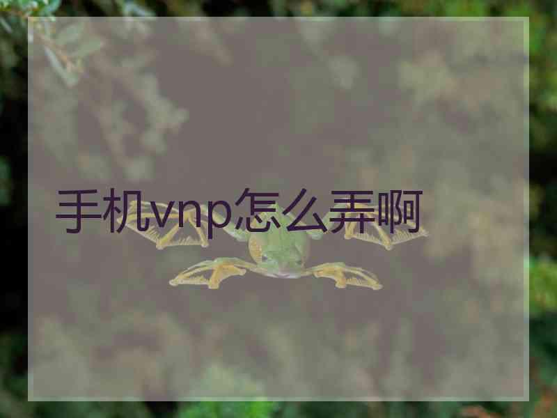 手机vnp怎么弄啊