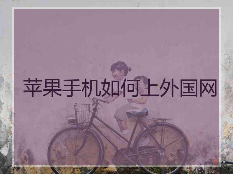 苹果手机如何上外国网