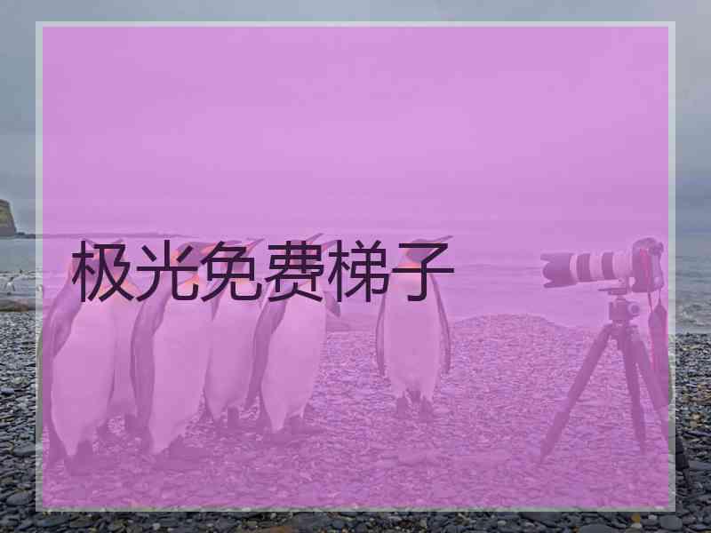 极光免费梯子