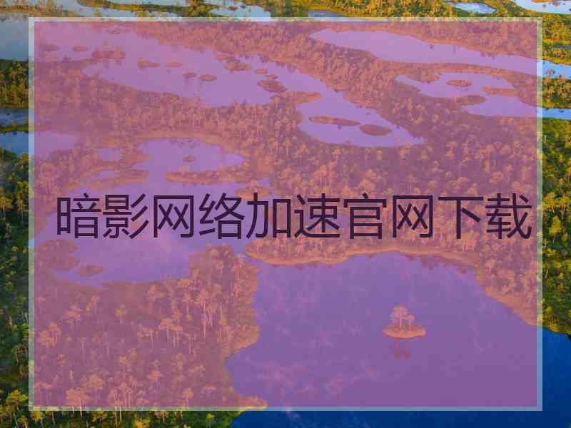暗影网络加速官网下载