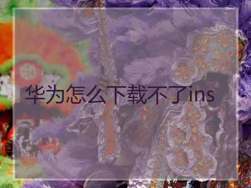 华为怎么下载不了ins